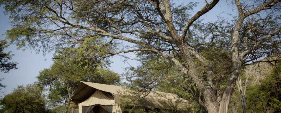 Tent exterior - Dunia Camp