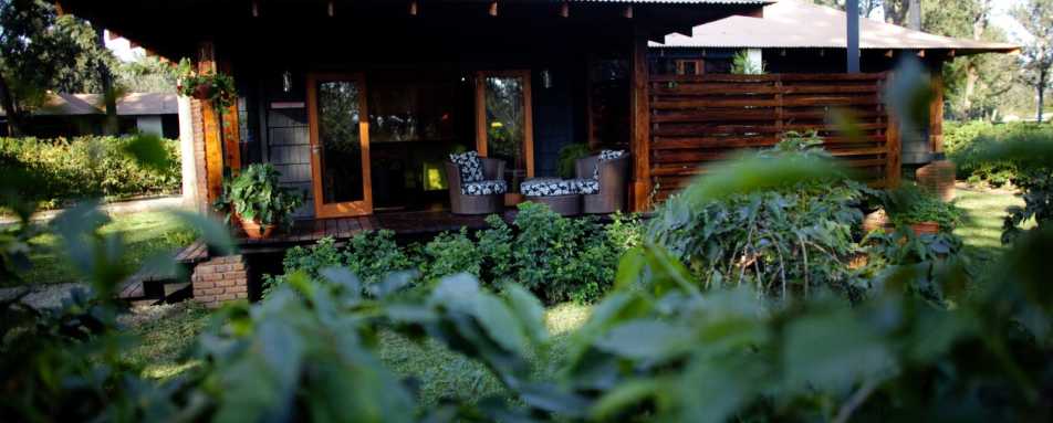 Tent exterior - Arusha Coffee Lodge