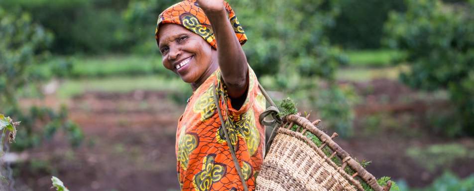 Local life at Gibbs Farm 
