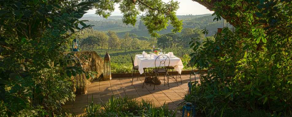 Dining at Gibbs Farm 