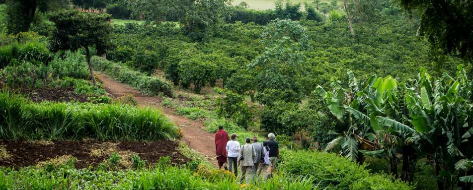 Explore the farm at Gibbs Farm 