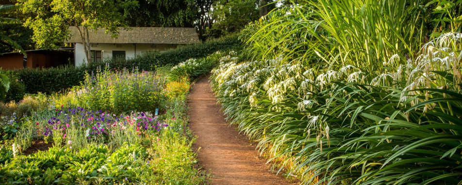 Flower garden at Gibbs Farm 