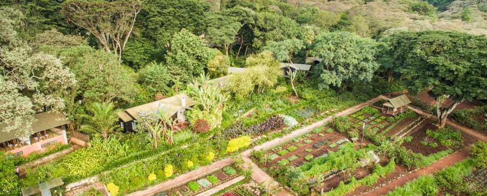 The gardens at Gibbs Farm 