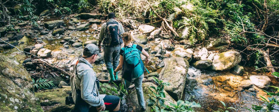 Greystoke Mahale - Forest Walks 