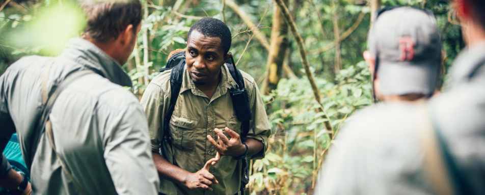 Greystoke Mahale - Guiding 