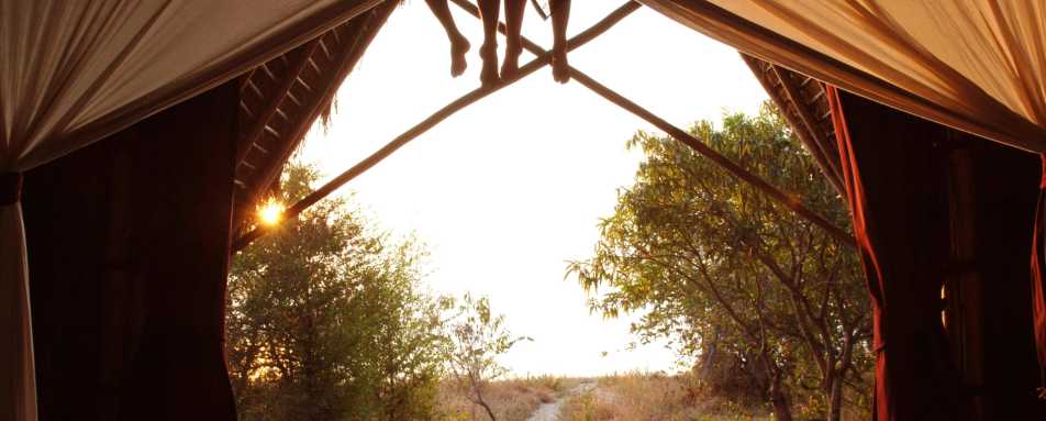Greystoke Mahale - Tent Interior 