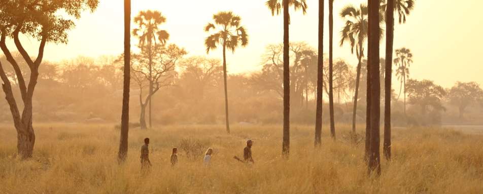 Walking safari - Ikuka Safari Camp 