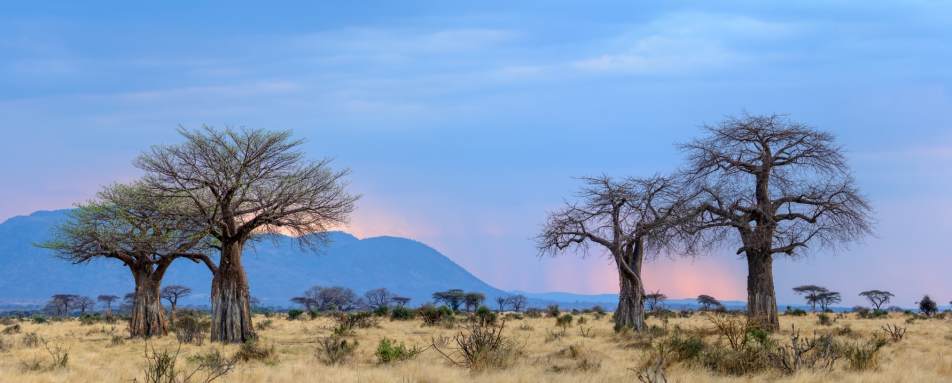 Typical Ruaha landscape - Jabali Ridge