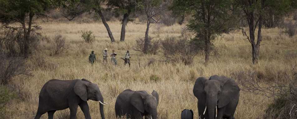 Walking safari - Jabali Ridge