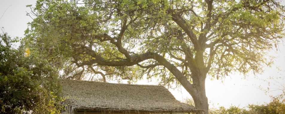 Temt exterior - Kigelia Ruaha
