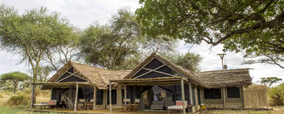 Family Tent  - Kuro Tarangire