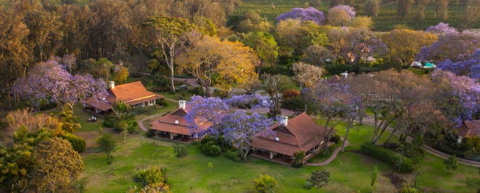 Aerial view - Legendary Lodge