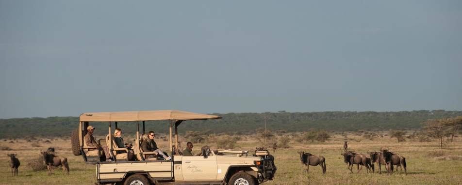Game Drive - Mwiba River Lodge