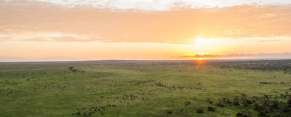 Serengeti - Mwiba River Lodge