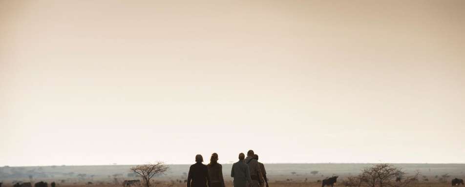 Walking safari - Mwiba River Lodge