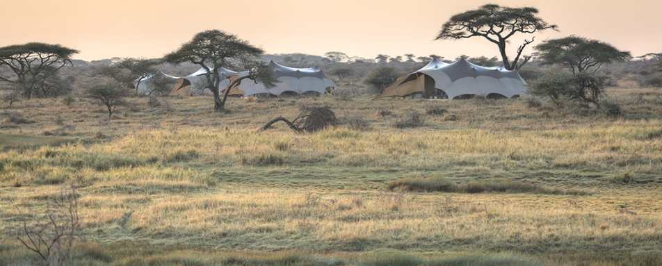 Camp overview Namiri Plains 