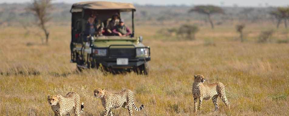 Game drive at Namiri Plains 