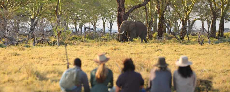 Walking safari at Namiri Plains 