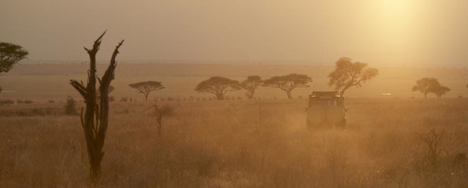Tarangire Park - Oliver's Camp