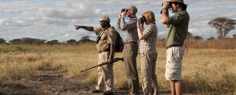 Walking safari - Oliver's Camp