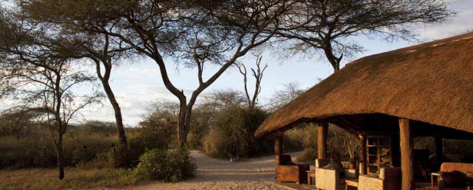 Lounge area - Oliver's Camp