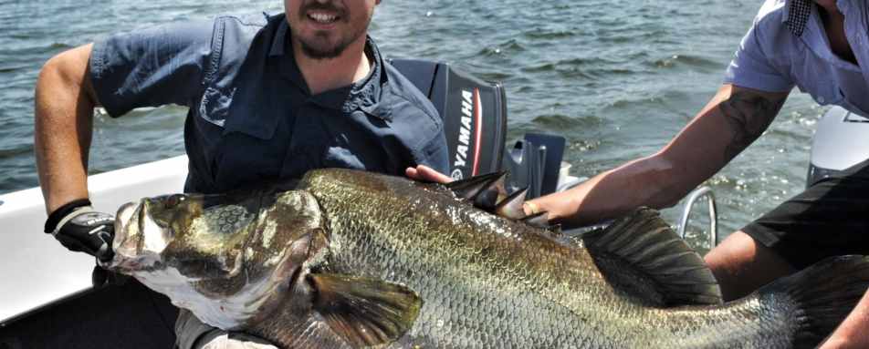 Nile Perch Fishing - Rubondo Island Camp