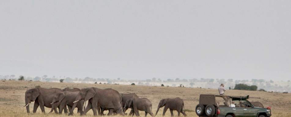 Game drive - Serian's Serengeti North Camp