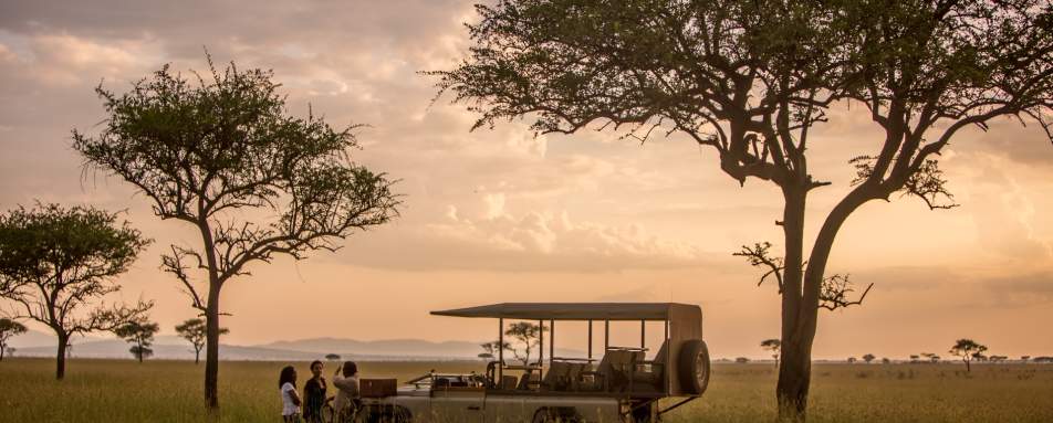 Game drives in Singita