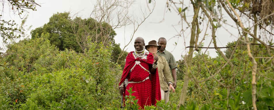 Bush walk - The Highlands