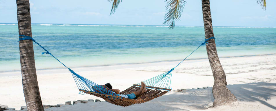 Beach Hammock 