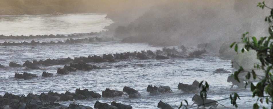 Serian Serengeti North Safari