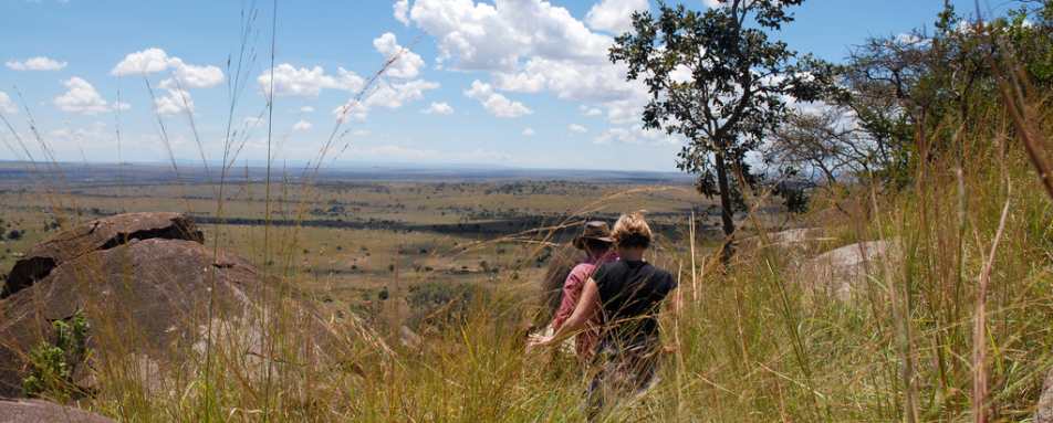 Walking safari from Lamai