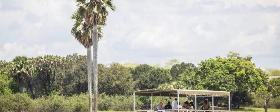 Boat Safari at Siwandu 