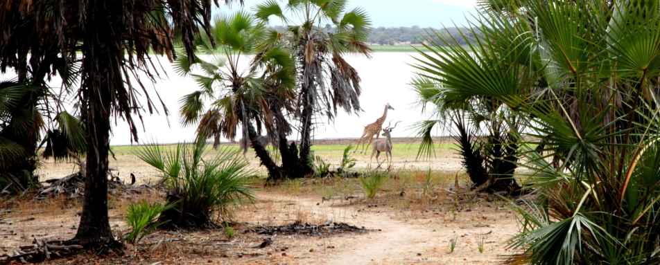 Breakfast with friends at Siwandu 