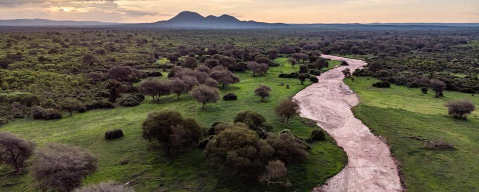 Ruaha National Park 