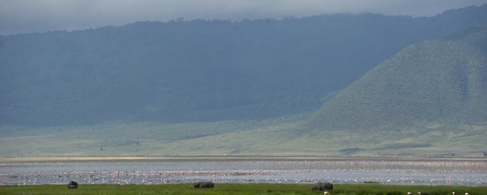 Flamingos, Ngorongoro Crater - Highlights of Northern Tanzania