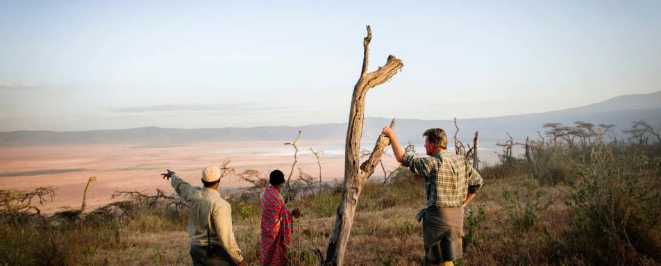 Highlights of Northern Tanzania 