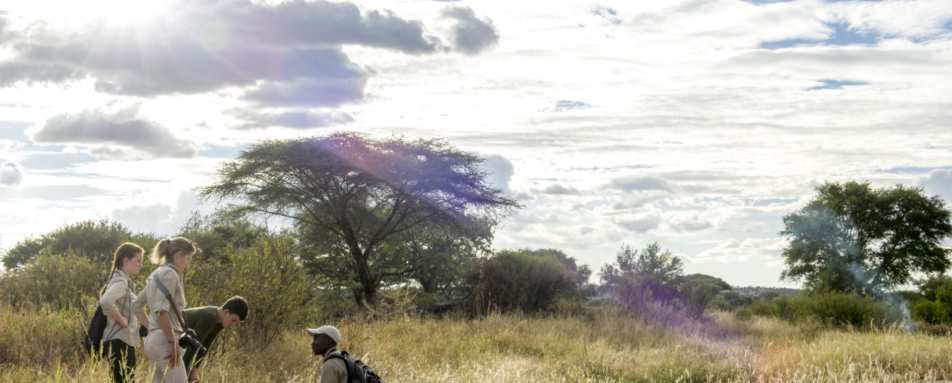 Walking Safari Tarangire 