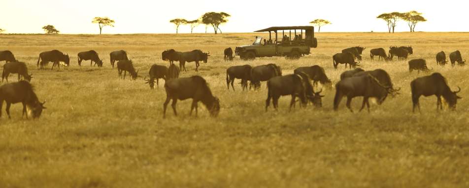 Ubuntu migration camp 