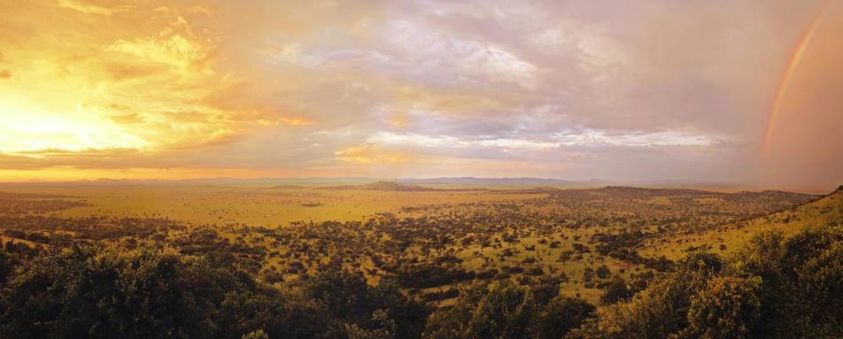 Sunrise over The Serengeti