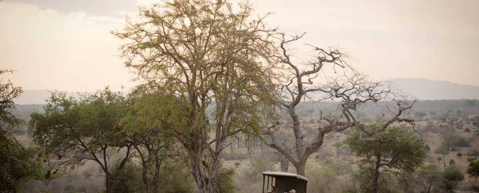 Safari in the Selous 