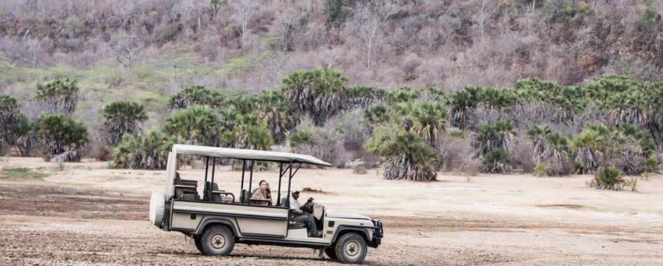 Game drives in the Selous 