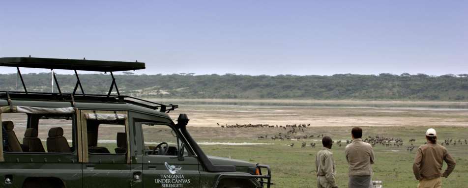 Game drive - Serengeti under Canvas