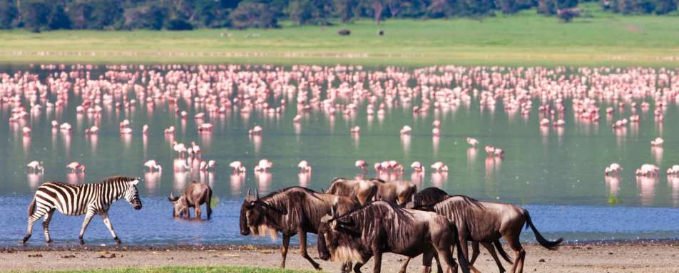 Ngorongoro Crater - Lakes, Craters and Kopjes