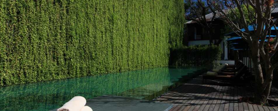 Swimming Pool - 137 Pillars House