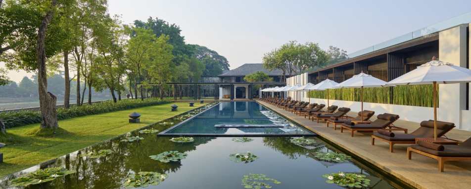 Lotus Pond Pool Anantara Chiang Mai 