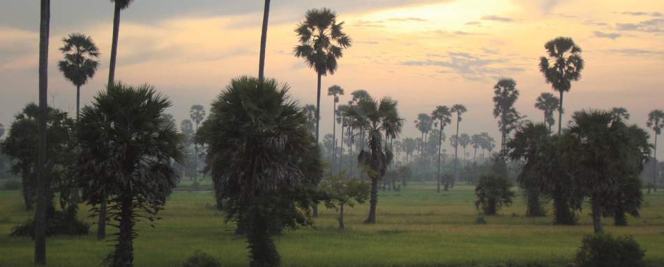 Sunrise Views - Eastern & Oriental Express