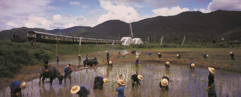 Farming views - Eastern & Oriental Express