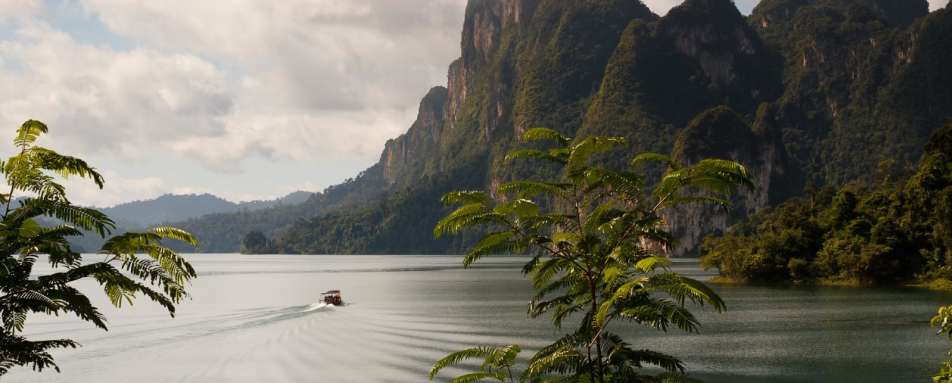 Rainforest Camp - Elephant Hills Tented Camp