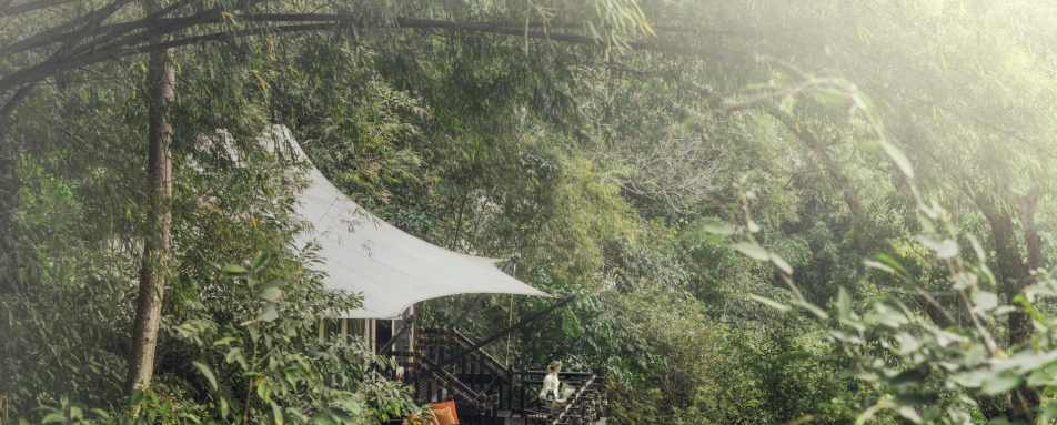 Superior Tent - Four Seasons Tented Camp Golden Triangle